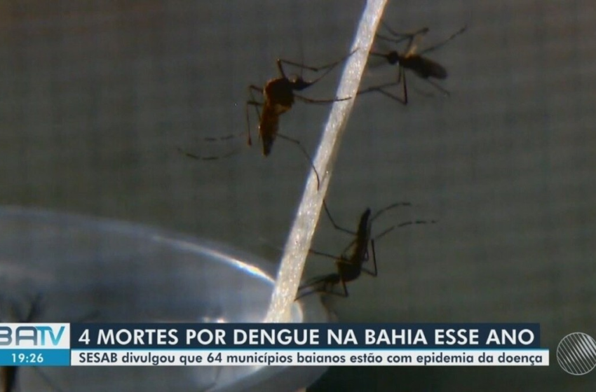  Bahia tem aumento de quase 100% nos casos prováveis de dengue em comparação a 2023; 64 cidades estão em epidemia – G1