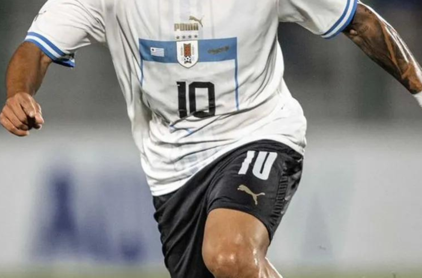  Bahia fecha contratação de atleta uruguaio, afirma jornalista – BNews
