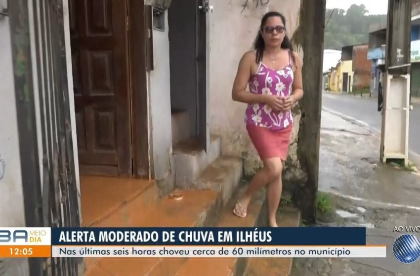  Alagamentos, casas inundadas e queda de árvores: fortes chuvas causam estragos no sul da Bahia – G1