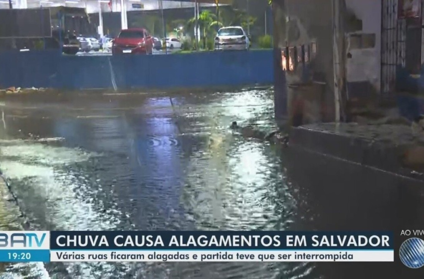  Queda de árvore e alagamentos marcam terça-feira chuvosa em Salvador – G1