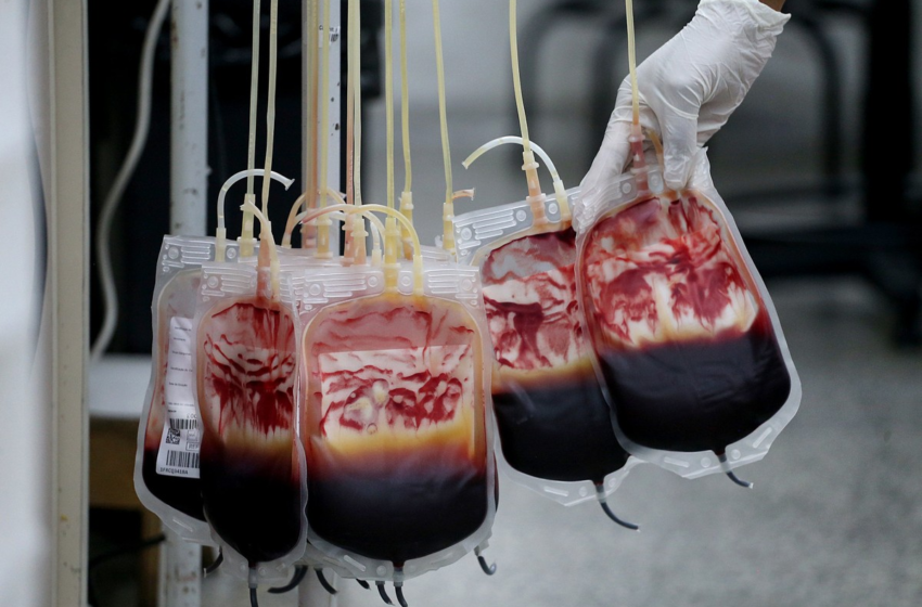  Justiça ordena transfusão de sangue em recém-nascido que teve procedimento não autorizado pelos pais na Bahia – G1
