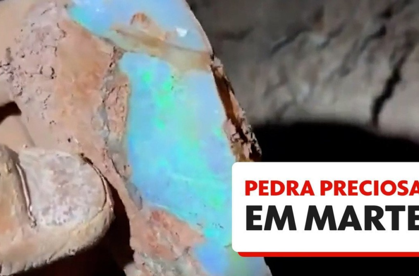  Pedra preciosa com esmeraldas encontrada na Bahia é arrematada por R$ 175 milhões em leilão da Receita Federal – G1